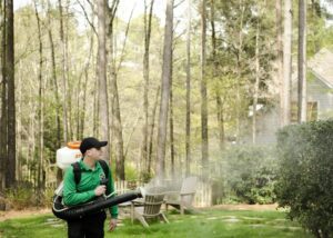 Mosquito Joe service professional applying spray to yard